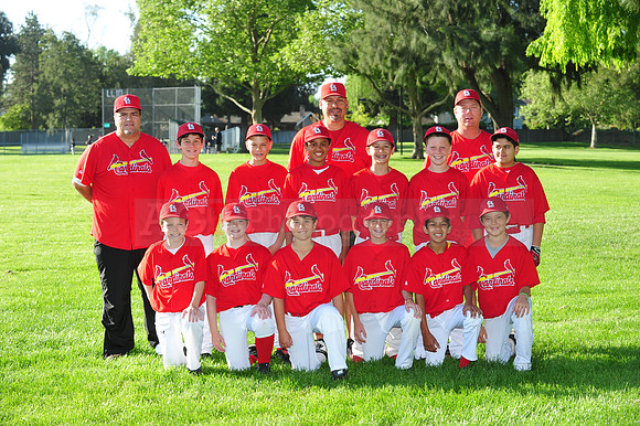 MajorCardinals078