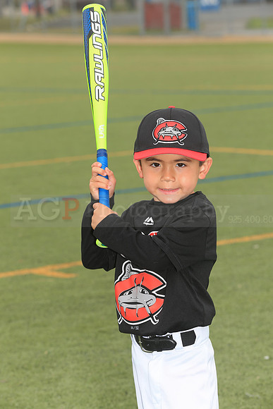 SB_TB_Mudcats00047