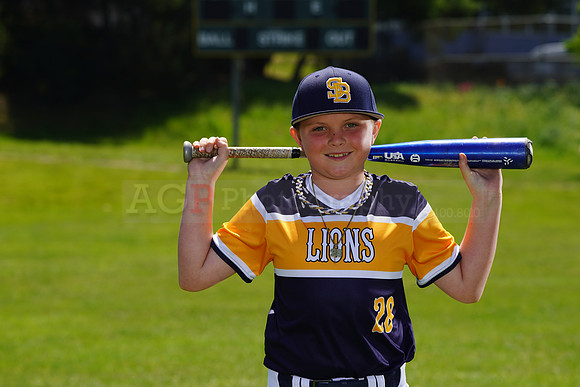 SB_PW_Lions025