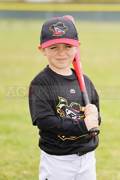 AGP09082
