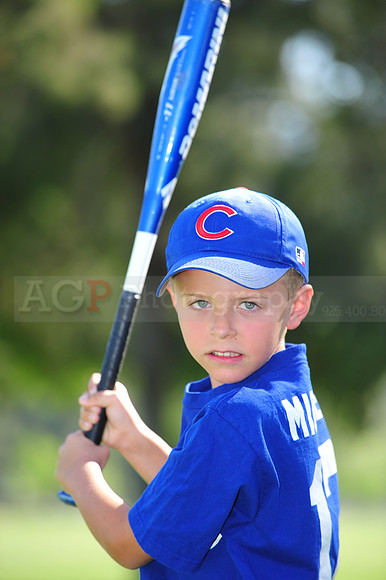 Farm_Cubs074