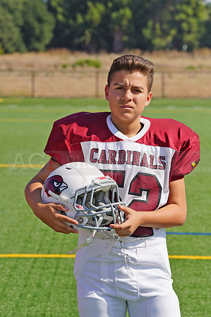 cardinals00067