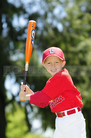 FarmCards094