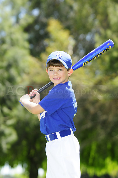 FarmDodgers032