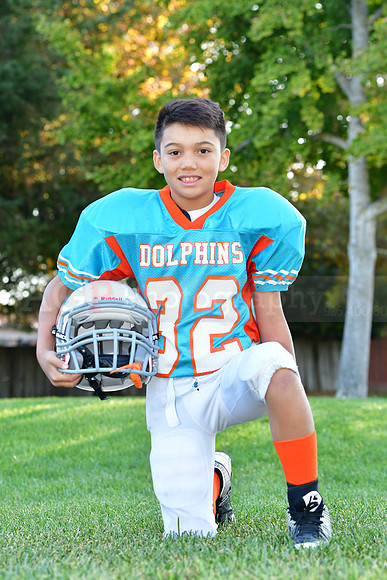 Dolphins062