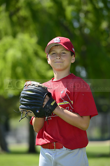 AAA Cards096