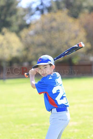 AAACubs049
