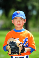 Farm_Mets009