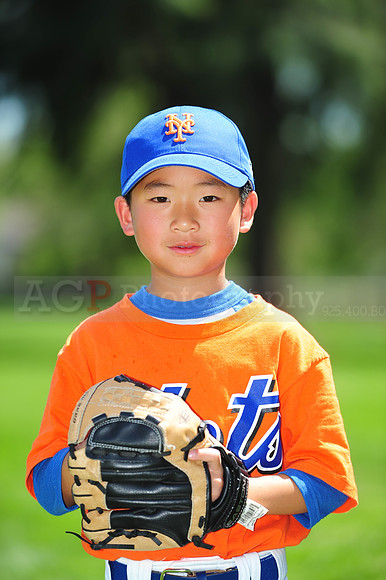 Farm_Mets009
