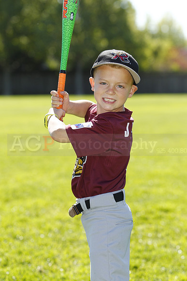 ATimberRattlers088