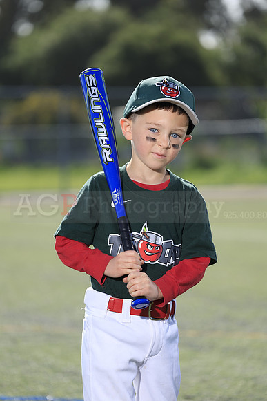 SB_TB_TinCaps034
