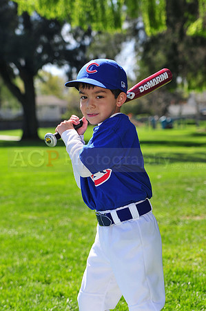 FMCubs027