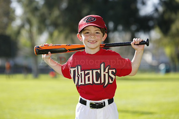 FMDBacks025