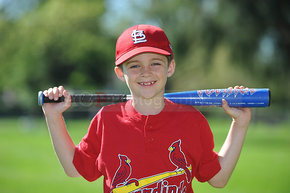 AA_Cardinals009