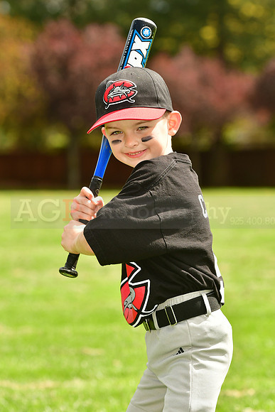 FMMudcats025