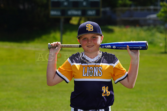 SB_PW_Lions027