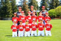 AA CARDINALS
