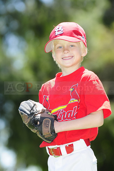 FarmCards041