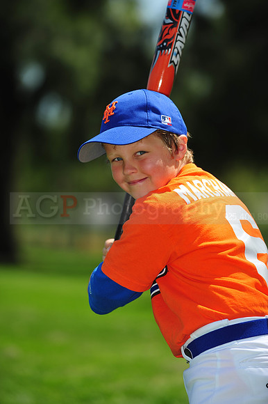 Farm_Mets052