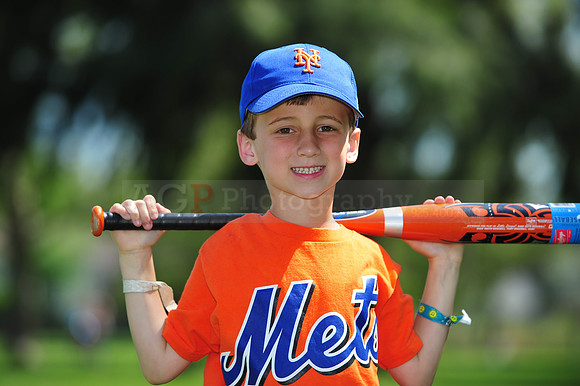 Farm_Mets085