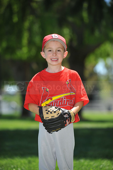 Farm_Cardinals101