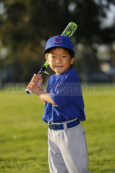 FarmCubs006