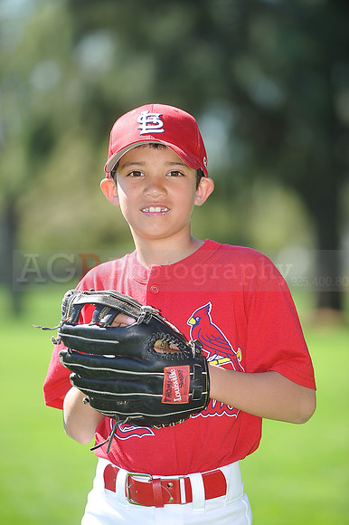 AA_Cardinals057