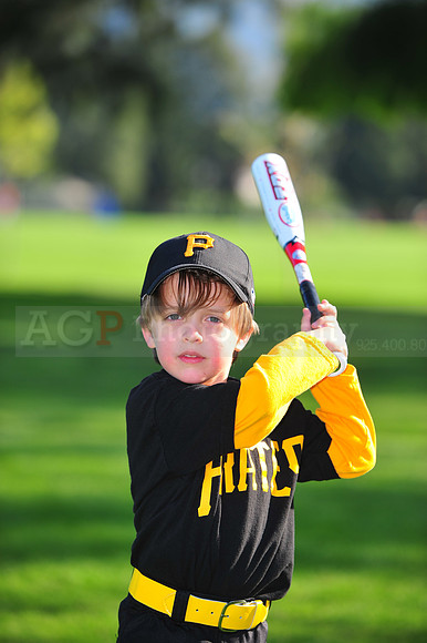 TBall_Pirates001