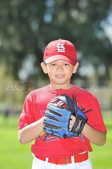A_Cardinals086