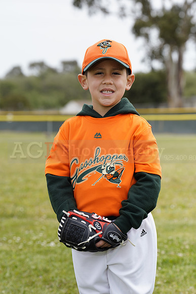 TBGrasshoppers00003