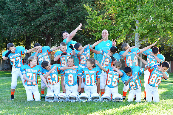 Dolphins122