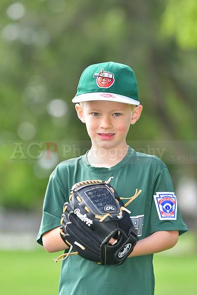 TBTincaps029