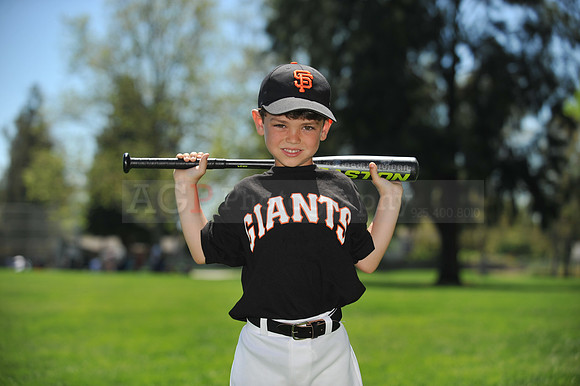 Farm Giants060