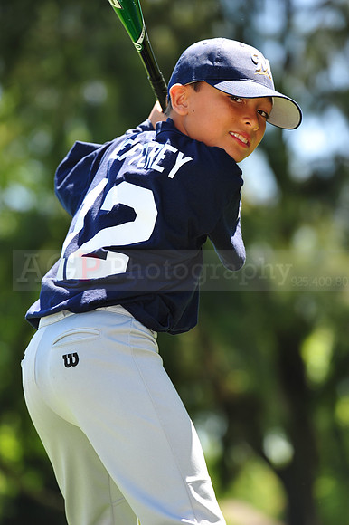 AA Brewers068