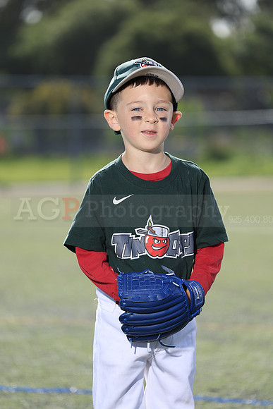 SB_TB_TinCaps029