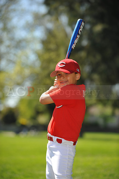 Farm_Reds089