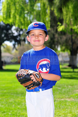 FMCubs001