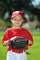 A_Cardinals002