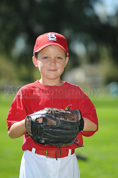 A_Cardinals002