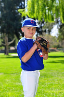 FMCubs020