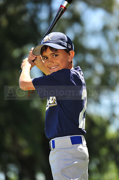 AA Brewers049