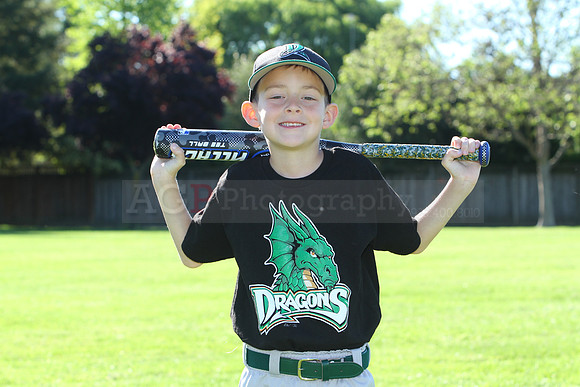 FMDragons084