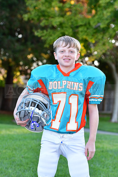 Dolphins022