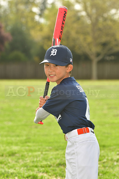 AATigers004