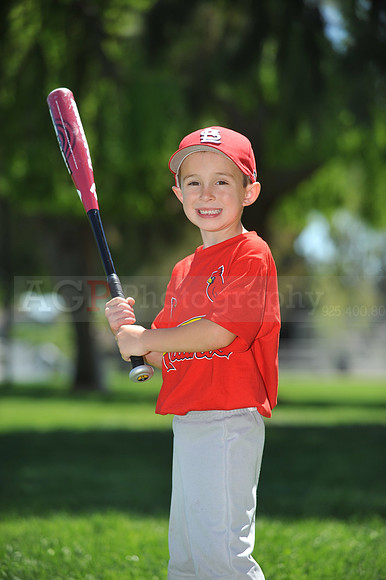 Farm_Cardinals102