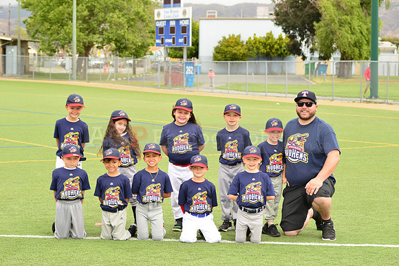 SB_TB_mudhens00083