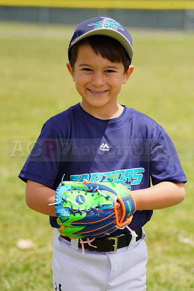 AGP09147
