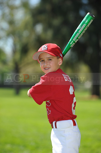 AA_Cardinals083