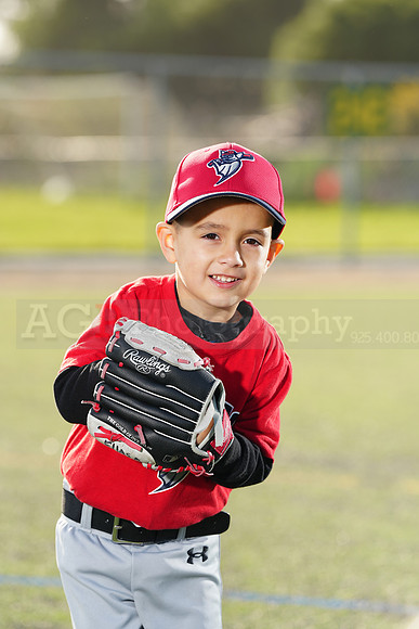 SB_TB_Bats039