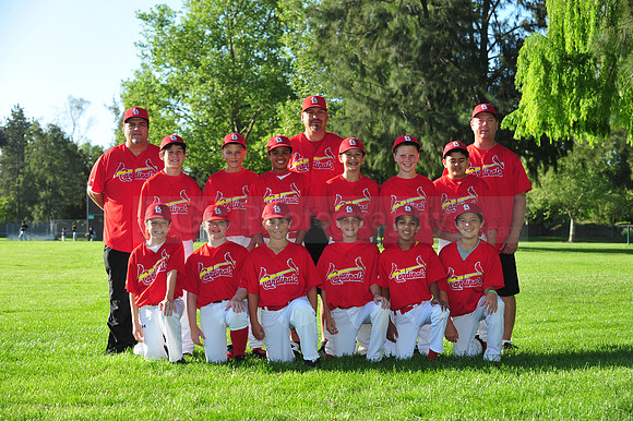 MajorCardinals081